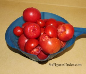 The Best Way to Can Tomatoes: TOMATO PUREE. Seriously the EASIEST and FASTEST way to can tomatoes. Can now, use later for making homemade spaghetti sauce, tomato soup, stews and more.