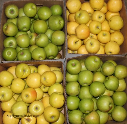 Making and Canning Homemade Applesauce Picture Tutorial